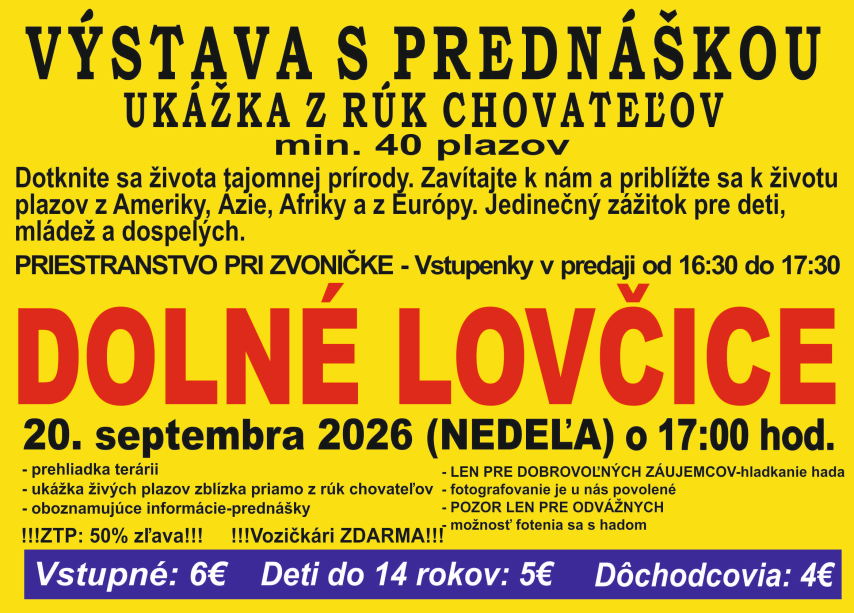 výstava